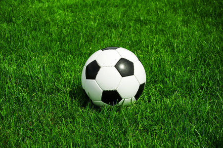 体育爱好者使用捷报比分查看赛事